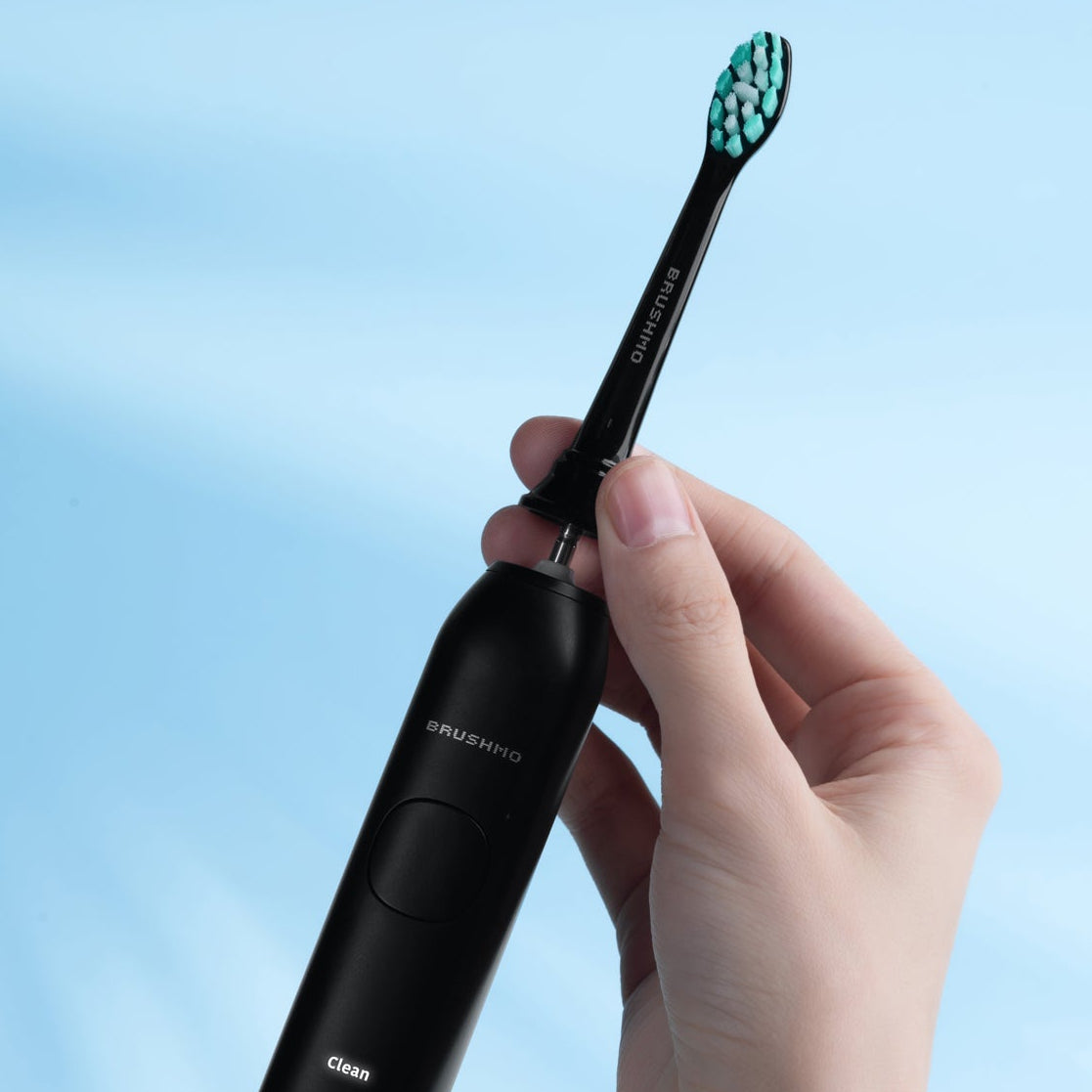 Replacement Toothbrush Heads Compatible with Philips Sonicare- Plaque Control (8 Pack), Black