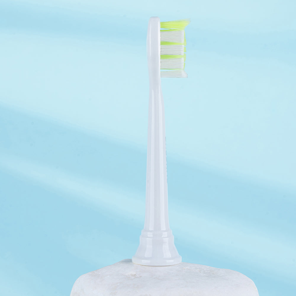 Brushmo Whitening Replacement Toothbrush Heads - 13 pack