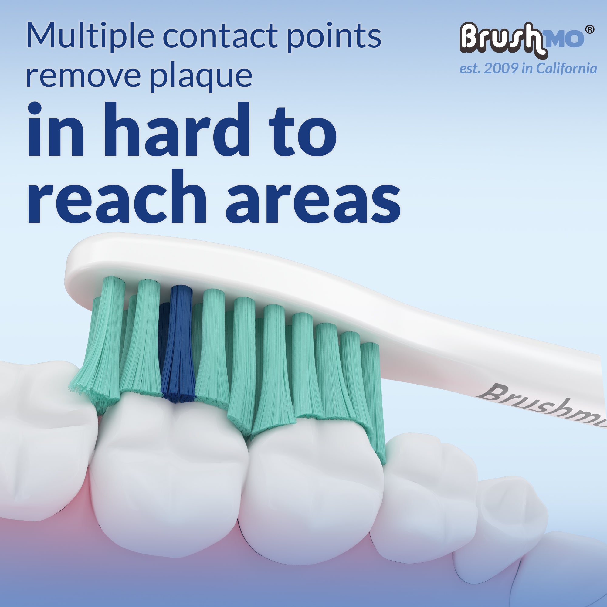 Replacement Toothbrush Heads for Philips Sonicare e-Series, 4+2 Pack(Compact, Standard, Sensitive)
