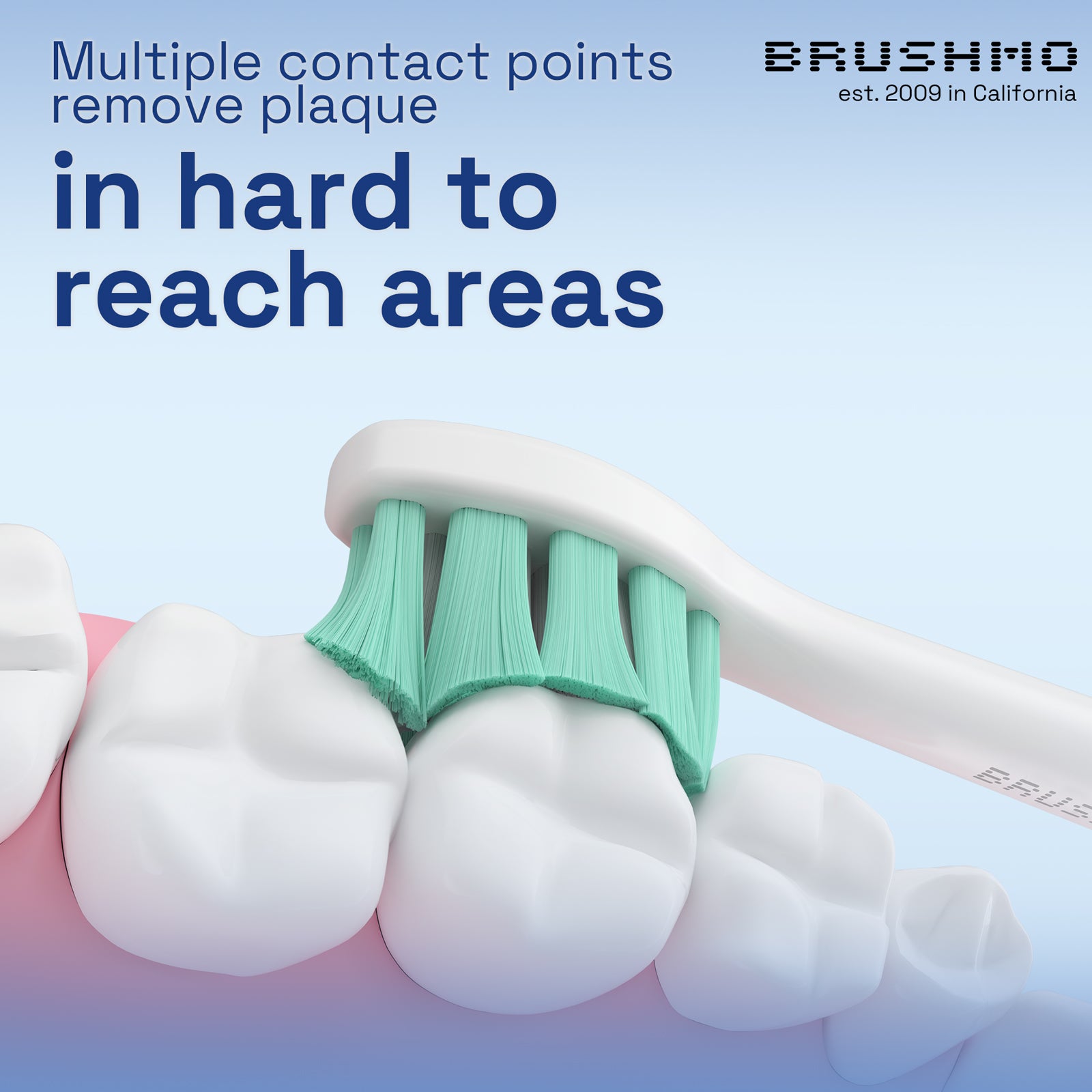 Plaque Control Variety Replacement Toothbrush Heads Compatible with Philips Sonicare - Combo, White