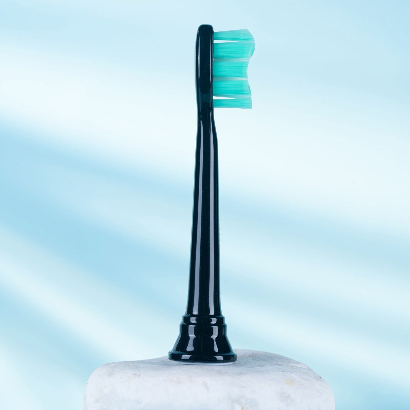 Plaque Control Replacement Toothbrush Heads Compatible with Philips Sonicare - 8 Pack, Black