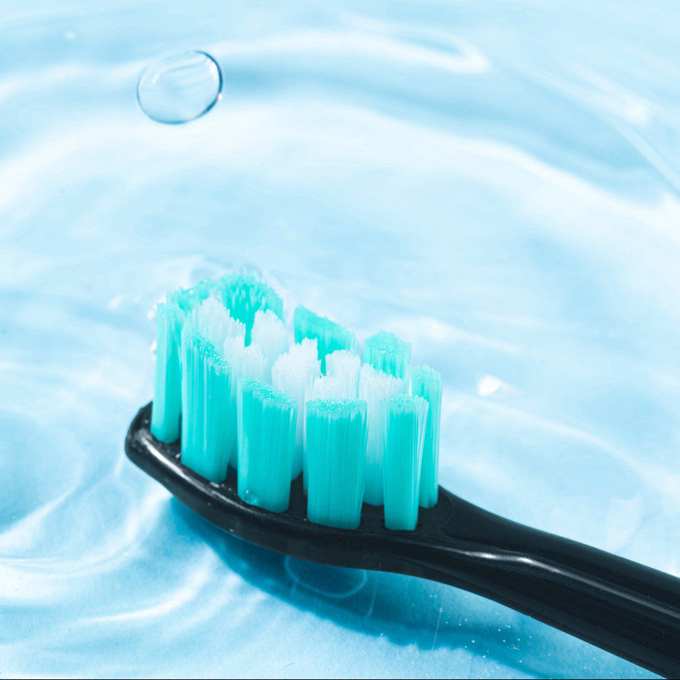 Plaque Control Replacement Toothbrush Heads Compatible with Philips Sonicare - 8 Pack, Black