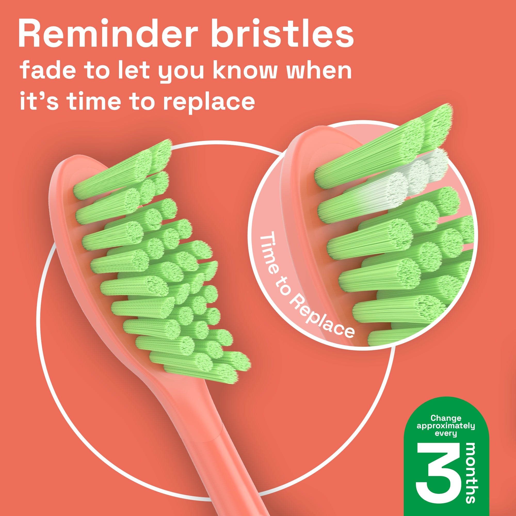 Replacement Toothbrush Heads Compatible with Philips Sonicare One - 4 Pack, Miami Coral