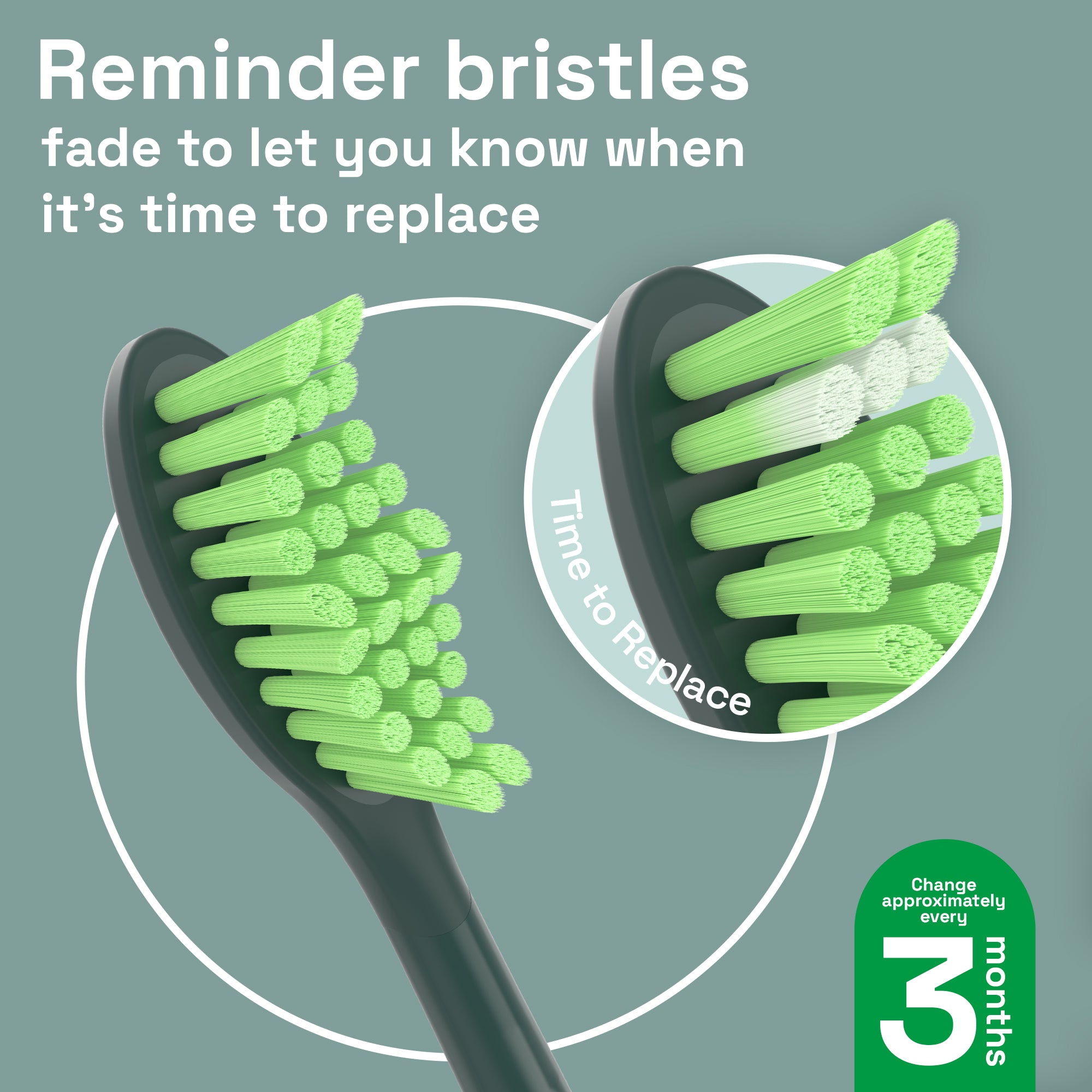Replacement Toothbrush Heads Compatible with Philips Sonicare One - 4 Pack, Sage Green