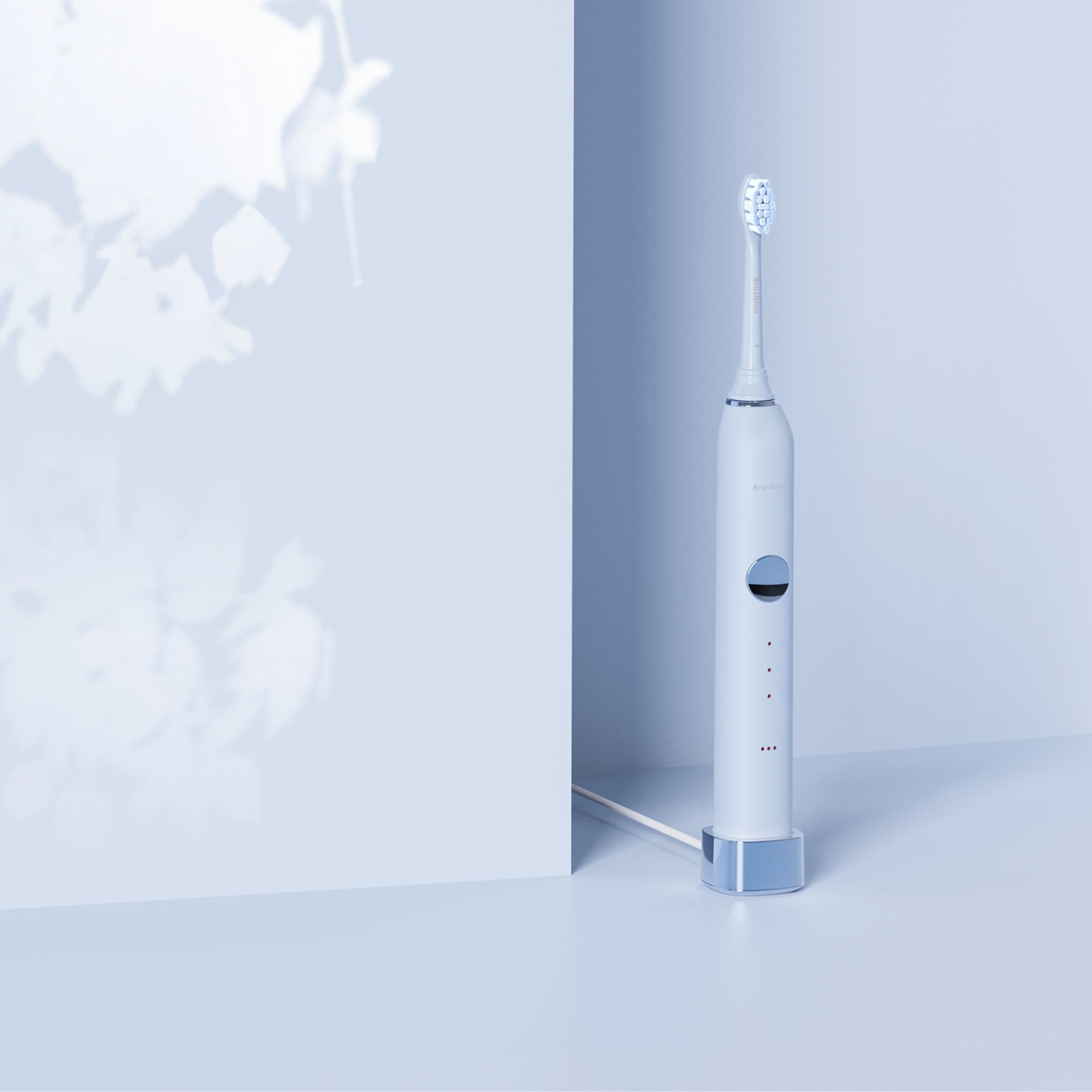 Rechargeable Sonic Toothbrush BM01-1A