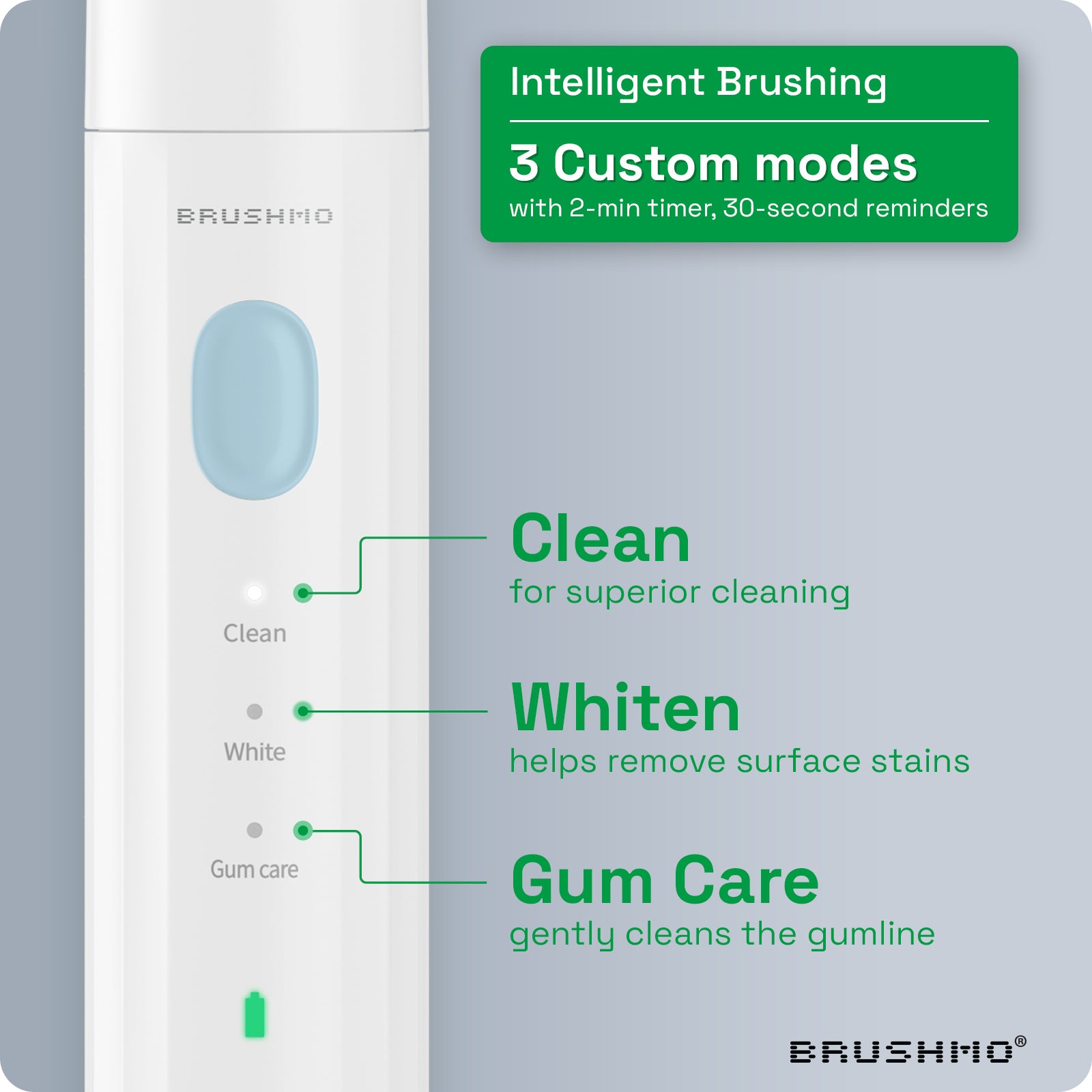 Rechargeable Sonic Toothbrush BM02-1B Screw-on