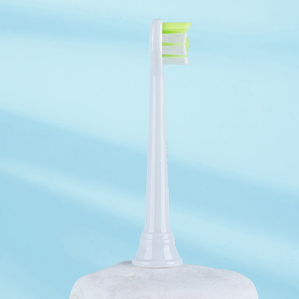 Compact Whitening Replacement Toothbrush Heads Compatible with Sonicare DiamondClean - 8 Pack, White